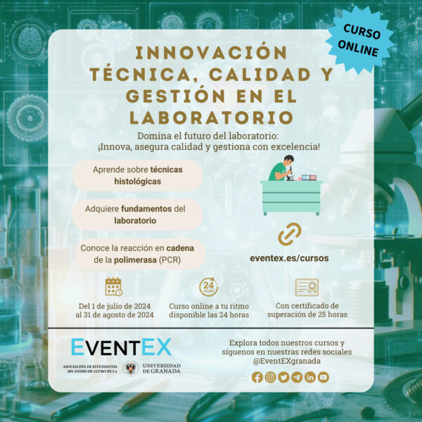 Curso de Innovacion verano 2024