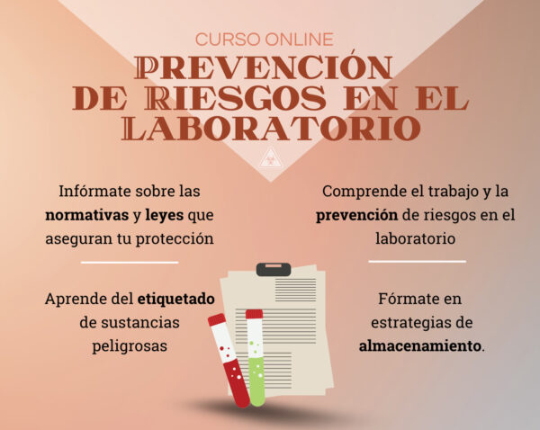 Cartel de Prevención de riesgos 2024-10