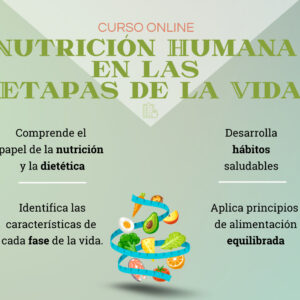 Cartel de Nutrición en las etapas 2024-10