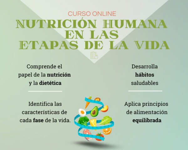 Cartel de Nutrición en las etapas 2024-10