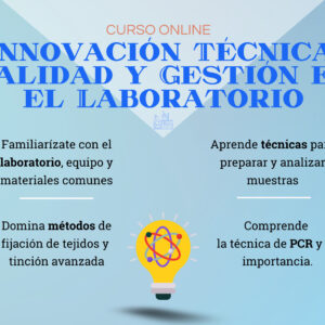 Curso de Innovación 2024-10