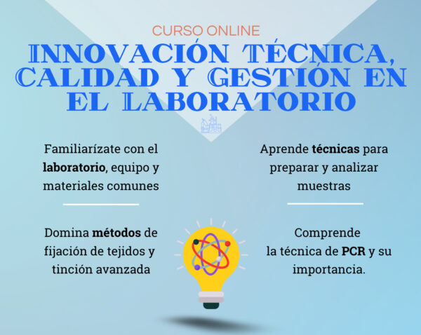 Curso de Innovación 2024-10